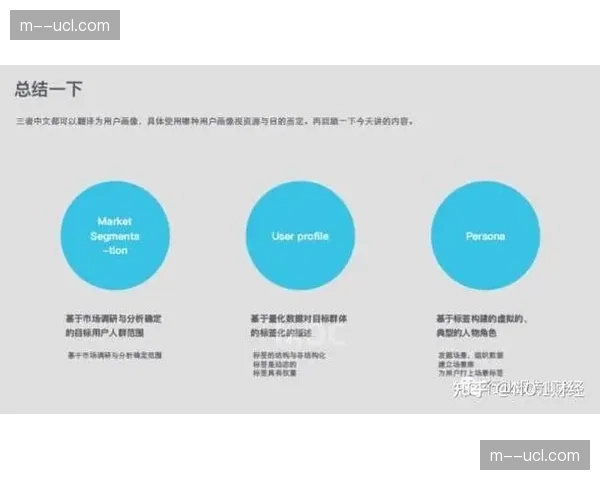 用户付费模式基于行为分析持续精细化